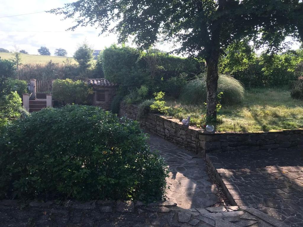Le Gite De Las Peyros Mirandol-Bourgnounac ภายนอก รูปภาพ