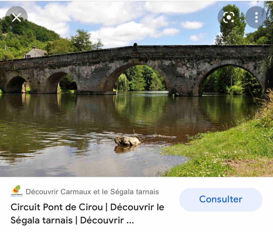 Le Gite De Las Peyros Mirandol-Bourgnounac ภายนอก รูปภาพ
