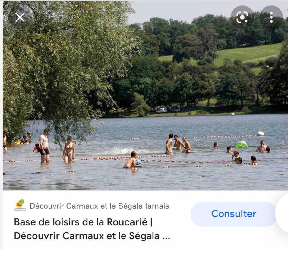 Le Gite De Las Peyros Mirandol-Bourgnounac ภายนอก รูปภาพ